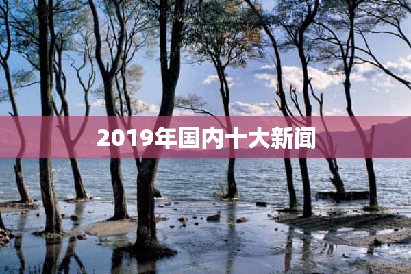 2019年国内十大新闻