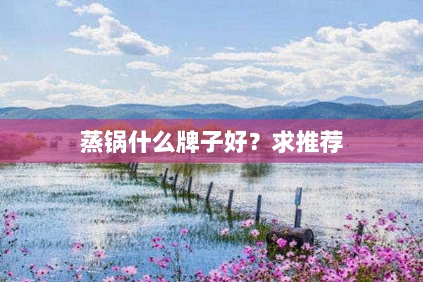 蒸锅什么牌子好？求推荐