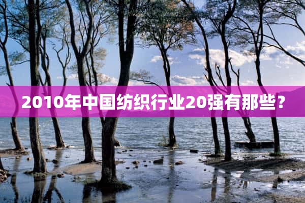 2010年中国纺织行业20强有那些？