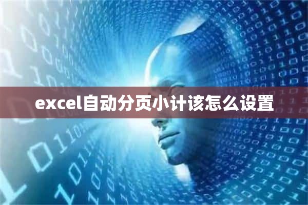 excel自动分页小计该怎么设置