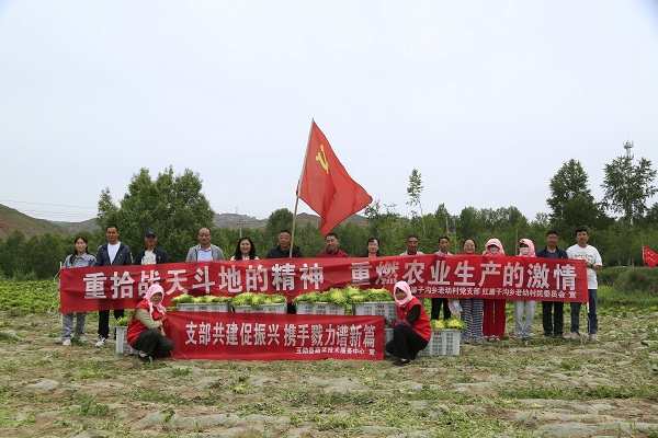 互助县万亩“供港澳”蔬菜抢鲜上市