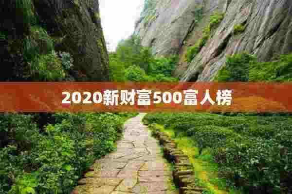 2020新财富500富人榜