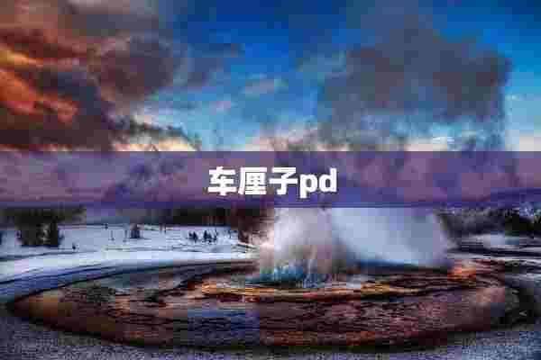 车厘子pd