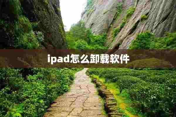 ipad怎么卸载软件