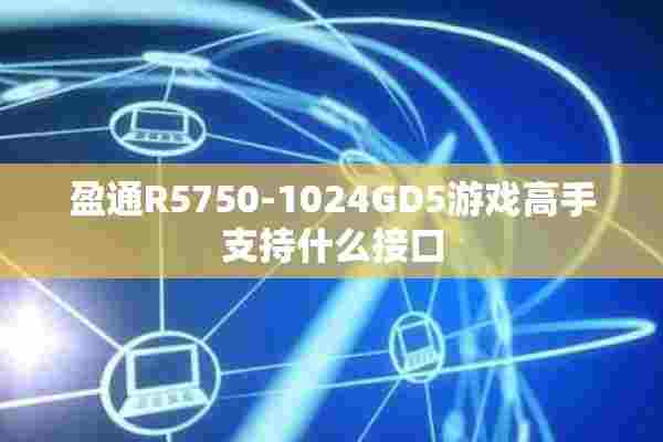 盈通R5750-1024GD5游戏高手支持什么接口