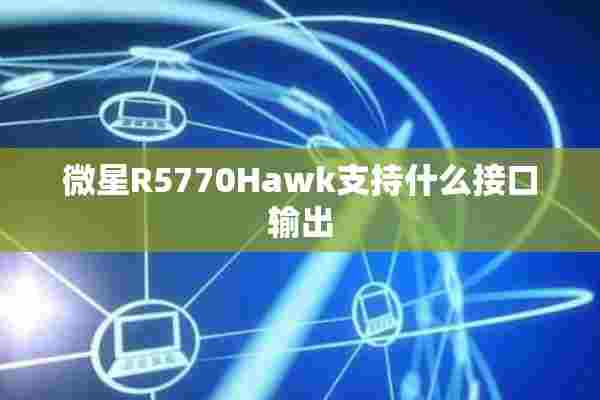 微星R5770Hawk支持什么接口输出