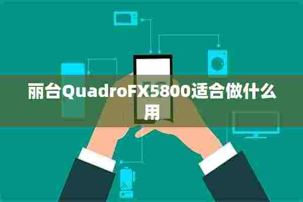 丽台QuadroFX5800适合做什么用