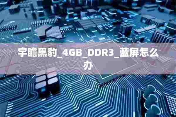 宇瞻黑豹_4GB_DDR3_蓝屏怎么办