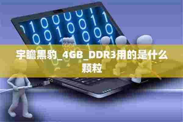 宇瞻黑豹_4GB_DDR3用的是什么颗粒