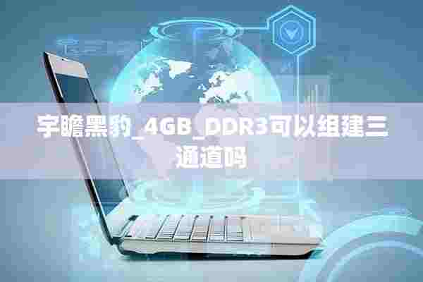 宇瞻黑豹_4GB_DDR3可以组建三通道吗