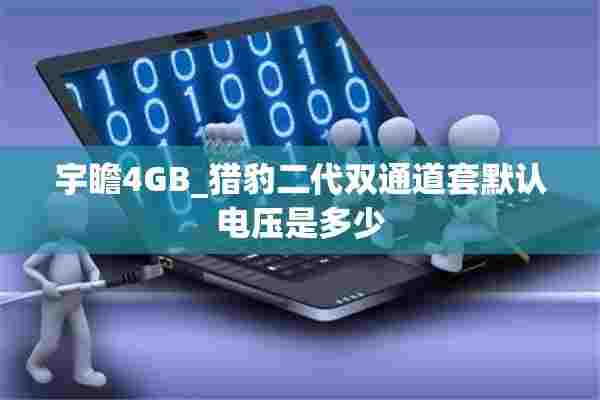 宇瞻4GB_猎豹二代双通道套默认电压是多少