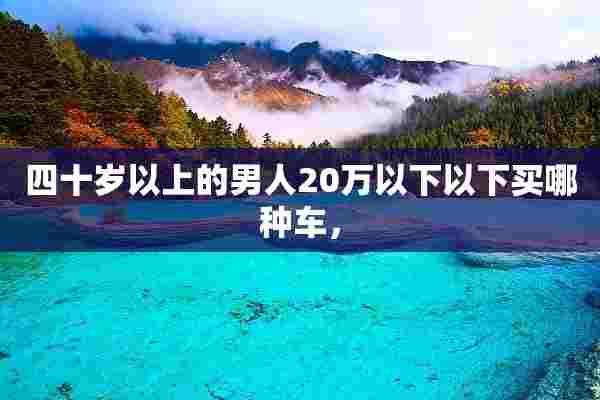 四十岁以上的男人20万以下以下买哪种车，