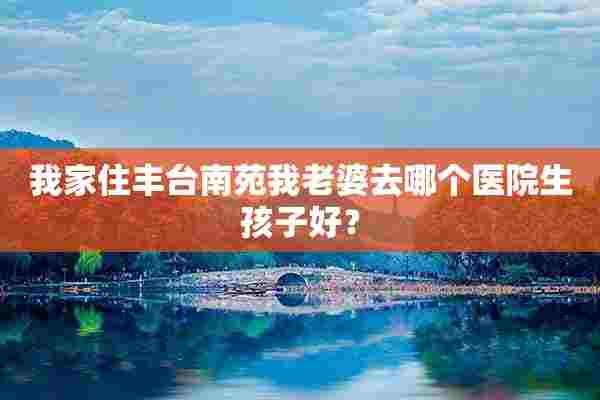 我家住丰台南苑我老婆去哪个医院生孩子好？