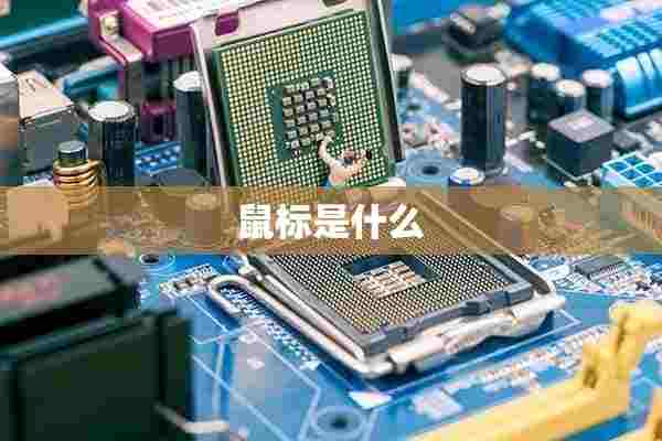 鼠标是什么 鼠标是什么