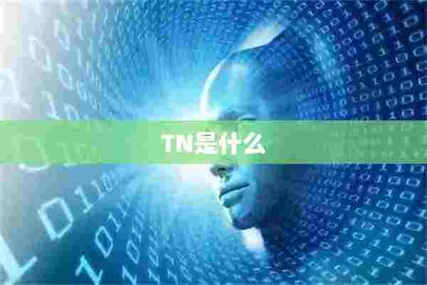 TN是什么 TN是什么