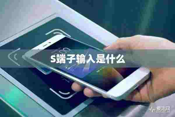 S端子输入是什么 S端子输入是什么
