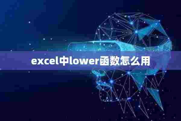 excel中lower函数怎么用