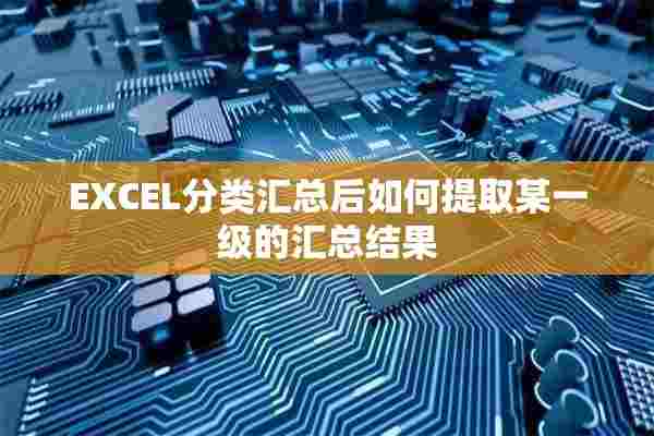 EXCEL分类汇总后如何提取某一级的汇总结果