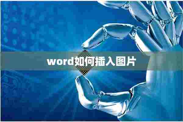 word如何插入图片