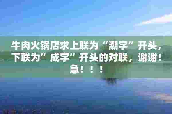 牛肉火锅店求上联为“潮字”开头，下联为”成字”开头的对联，谢谢！急！！！