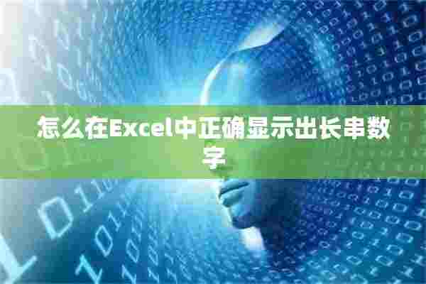 怎么在Excel中正确显示出长串数字